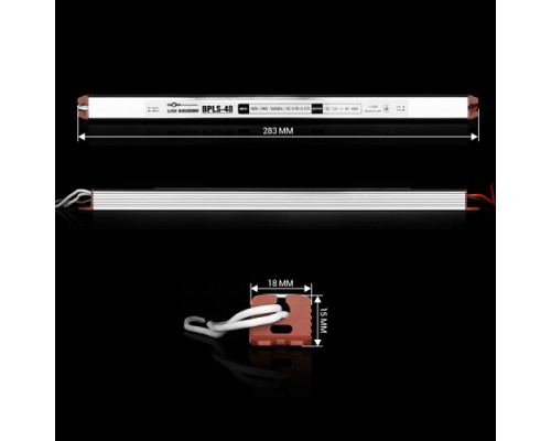 Блок питания BIOM Professional DC12 48W BPLS-48-12 4А stick