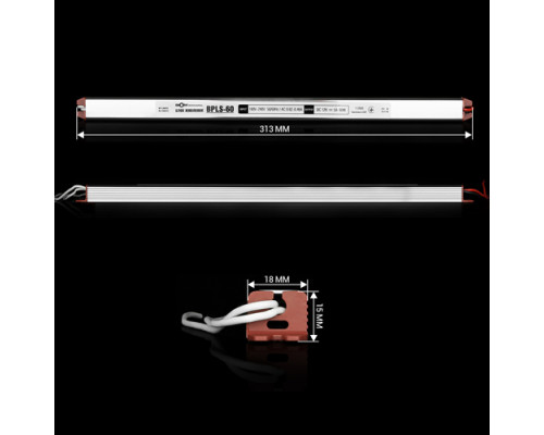 Блок питания BIOM Professional DC12 60W BPLS-60-12 5А stick