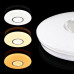Светильник светодиодный Biom SMART SML-R07-50/2 3000-6000K 50Вт с д/у