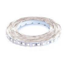 Світлодіодна стрічка BIOM Professional BPS-G3-24-2835-120-СW-20 холодний білий, негерметична, 1м