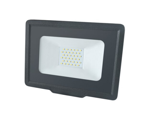 Светодиодный прожектор BIOM 30W S5-SMD-30-Slim 6200К 220V IP65