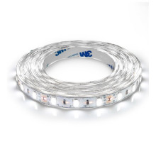 Світлодіодна стрічка BIOM Professional G.2 5630-60 W біла, негерметична, 1м
