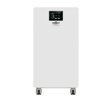 Аккумуляторная батарея Biom Professional 48В (51.2В) BALFP-512300-V2 15кВтч