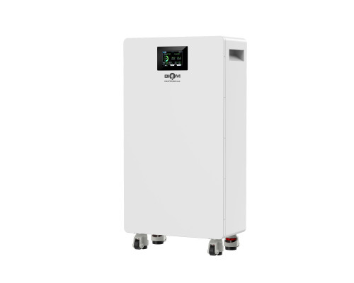 Аккумуляторная батарея Biom Professional 48В (51.2В) BALFP-512300-V2 15кВтч