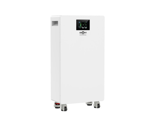 Аккумуляторная батарея Biom Professional 48В (51.2В) BALFP-512300-V2 15кВтч